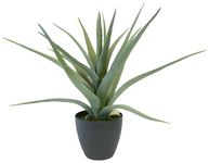 EMO Kunstig plante Aloe vera 56cm