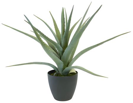 EMO Kunstig plante Aloe vera 56cm (HP26422615)