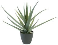 EMO Kunstig plante Aloe vera 45cm