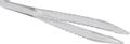  Pinsett Engangs Steril 12cm Klar (50)