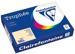 CLAIREFONTAINE Kopipapir Trophee A4 160g Kremgul (250)