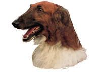  Borzoi - klistremerker