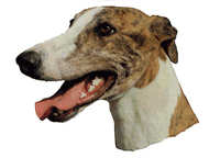 Greyhound brindle - klistremerker (2-12122)