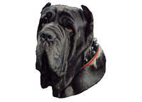  Napoletansk mastiff - klistremerker