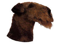 Airedale terrier hode - klistremerker (2-12164-1500010178)