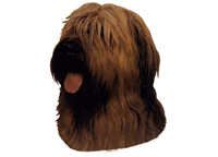 Briard blond - klistremerker (2-12194-1500010207)