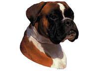 Boxer rød & hvit - klistremerker (2-12195-1500010208)