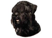  Tysk terrier svart - klistremerker