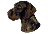 Vorstehhund strihåret hode - klistremerker (2-12230-1500010243)