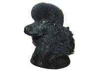  Puddel svart hode - klistremerker