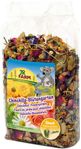 Jr Farm Flower Garden Chinchilla Snacks - 50g (5-02342)