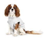 Sårbeskyttelsesbody til Hund (14-1030561-1500059437)