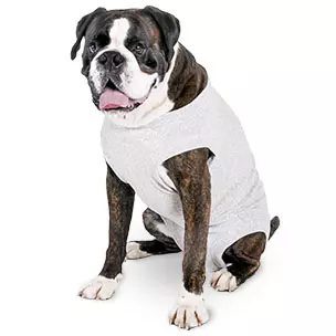 Sårbeskyttelsesbody til Hund (14-1030553)