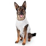 Sårbeskyttelsesbody til Hund (14-1030561-1500059437)