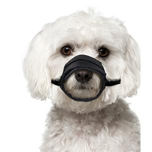 Soft Munnkurv - Svart (14-53031-1500098956)