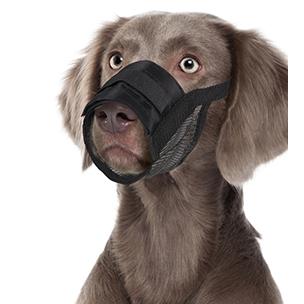 Soft Munnkurv - Svart (14-53031-1500098956)