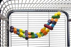  Fugleleke Taustige til Papegøye - XL