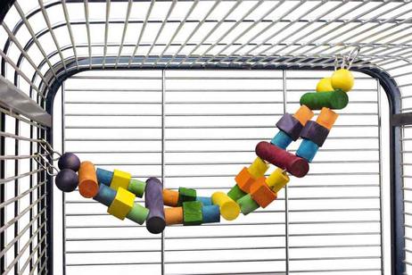 Fugleleke Taustige til Papegøye - XL (5516)