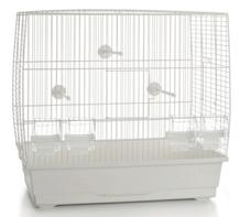  Natalia Undulatbur 3, Hvit - 55,5cm