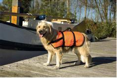  Safety Redningsvest - Orange