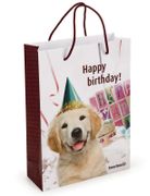  Gavepose Hund 'Happy birthday'