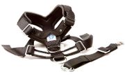 Bilsele Allsafe Harness - Hund (53-00101)