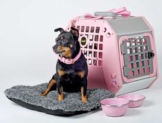  VarioCage Care2 M Rosa - Bilbur