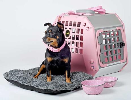  VarioCage Care2 L Rosa - Bilbur