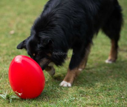 Eggformed Ball, Rød - 30cm (56-P2-red)