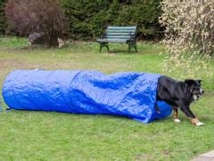  Agility Tunnelpølse - 300cm