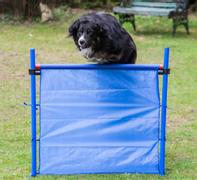  Sammenleggbart LP Hopp med Bæreveske