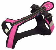 Zero DC Short Hundesele - Rosa (58-8596290003729-1500017352)