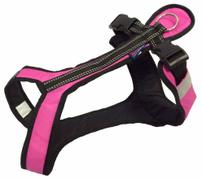 Zero DC Zero DC Short Hundesele - Rosa