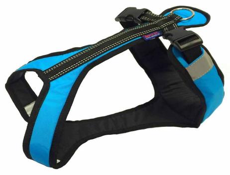  Zero DC Short Hundesele - Turkis