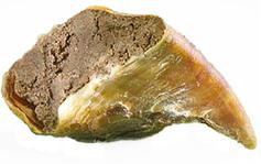  Hundesnacks Storfeklov med Kjøttfyll