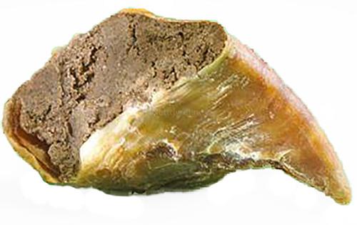 Akudim Hundesnacks Storfeklov med Kjøttfyll (59-60324)