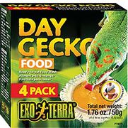  Dag Gekko 4stk. 50g Exo Terra -Day gecko