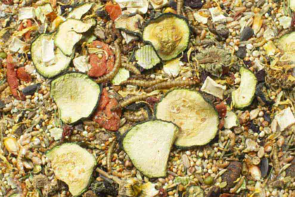 Jr Farm Hamstermat - 500g (5-13655)