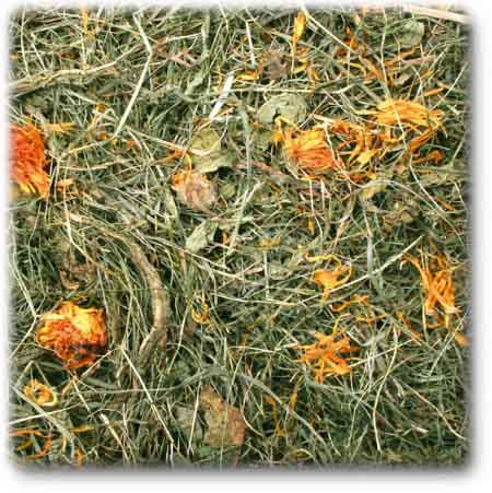 Jr Farm Høy med Løvetann (5-10279, 5-06970)