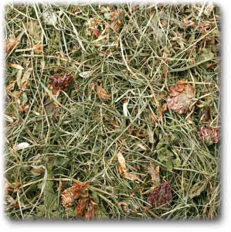 Jr Farm Høy med Rødkløver - 500g (5-06974)