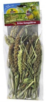Jr Farm Grønn Senegalhirse - 50g (5-15583)