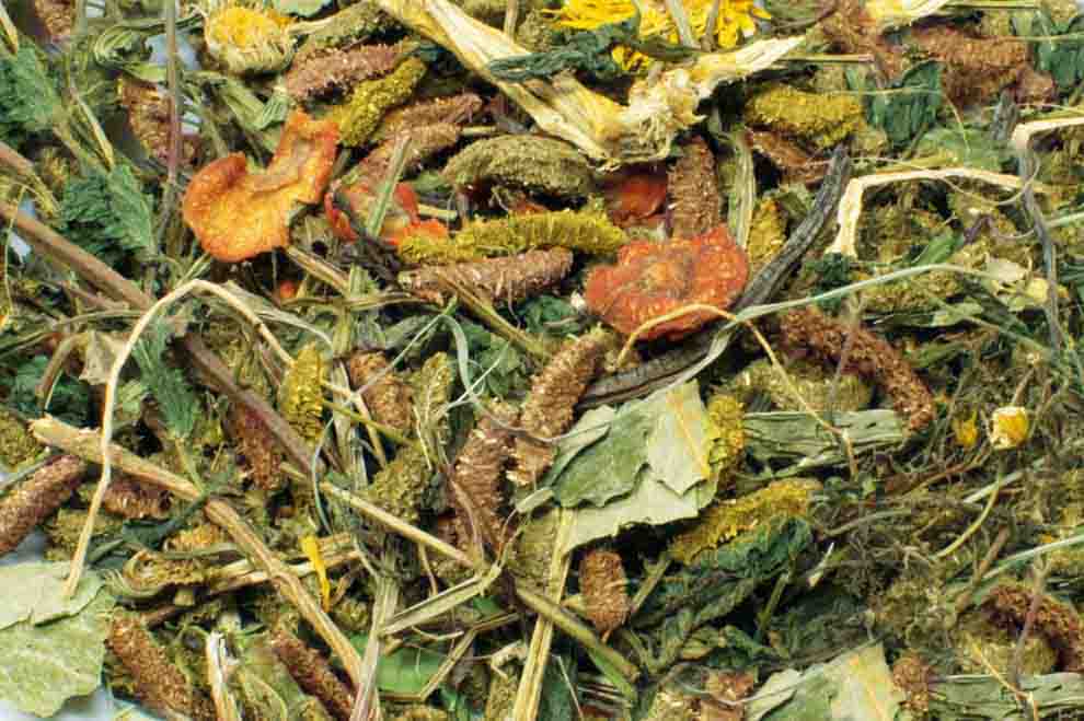 Jr Farm Kornfri Helse Mix Kaninmat - 1,2kg (5-21794)