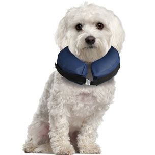 Sårbeskyttelseskrage til Katt/Hund (14-513235-1500019465)