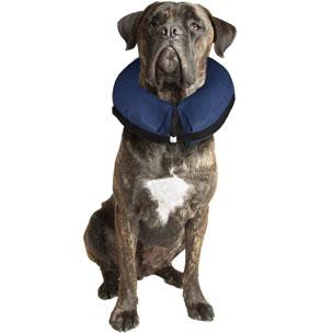 Sårbeskyttelse Sårkrage X-Large -Hund (14-513239)