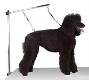 Cha Dog Galgestropp - 56cm (40-A0670#)