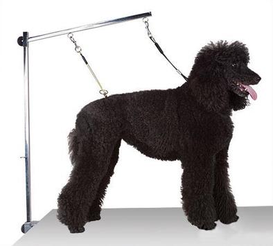 Cha Dog Galgestropp - 56cm (40-A0670#)