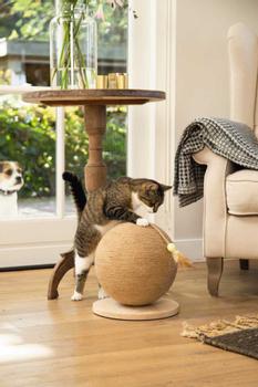 Designed by Lotte Balty Kloreglobe med Leke til Katt - 31,5cm (409129)