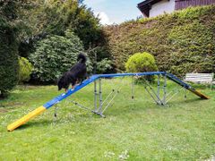  Agility Profi Bom/Stige