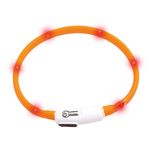 LED - lyshalsbånd katt oransje (14-64965)