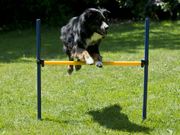 Agility Startsett XXL (56-A2-SAD2037-P)